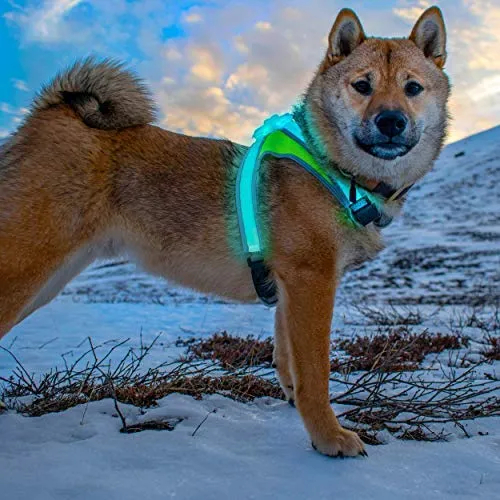 Noxgear lighthound Revolucionario iluminado y reflectante arnés para perros incluso multicoloreado fibra óptica LED (recargable por USB, ajustable, ligero, impermeable).
