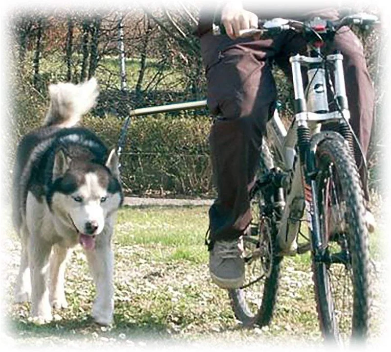 Manos libres para correa de perro en bicicleta Walky Dog Plus, con resistencia de fuerza de 550 libras, correa de grado militar