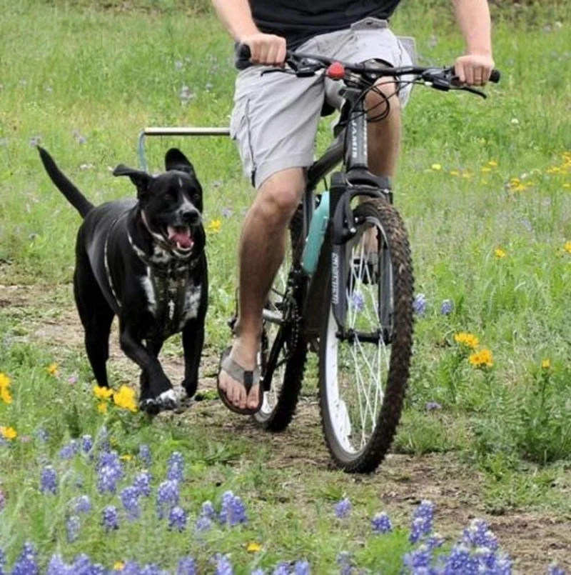 Manos libres para correa de perro en bicicleta Walky Dog Plus, con resistencia de fuerza de 550 libras, correa de grado militar