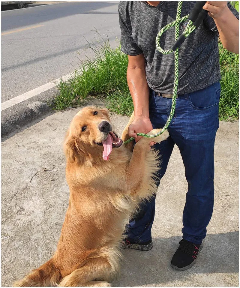 Correa para perro MayPaw resistente, de nailon de 1/2 x 6 pies, con asa acolchada suave y gruesa para perros grandes y medianos