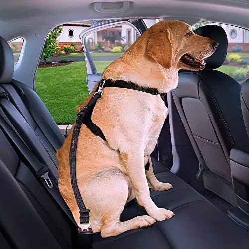 iBuddy - Cinturones de seguridad para perros pequeños, medianos y grandes, cinturón de seguridad ajustable para perros con doble gancho de seguridad y cinturón de seguridad elástico de nailon duradero para coche