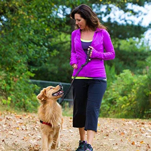 iBuddy - Cinturones de seguridad para perros pequeños, medianos y grandes, cinturón de seguridad ajustable para perros con doble gancho de seguridad y cinturón de seguridad elástico de nailon duradero para coche