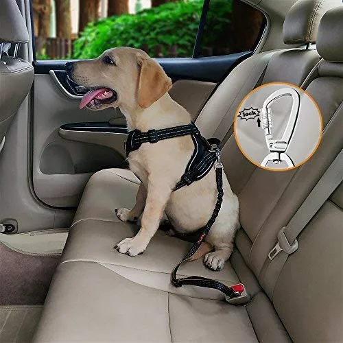 iBuddy - Cinturones de seguridad para perros pequeños, medianos y grandes, cinturón de seguridad ajustable para perros con doble gancho de seguridad y cinturón de seguridad elástico de nailon duradero para coche