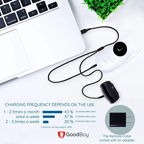 GoodBoy - Collar con control remoto para perros de tamaño pequeño con vibración de pitido y modos de choque para entrenamiento de comportamiento de mascotas, resistente al agua y rango de 1000 pies, apto para perros pequeños, medianos o grandes, S