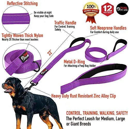 Primal Pet Gear - Correa para perro de 5.9 ft de largo, clip más fuerte, con dos asas acolchadas de tráfico, resistente, con asas dobles para entrenamiento de seguridad, correas para perros grandes o medianos