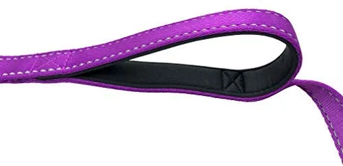 Primal Pet Gear - Correa para perro de 5.9 ft de largo, clip más fuerte, con dos asas acolchadas de tráfico, resistente, con asas dobles para entrenamiento de seguridad, correas para perros grandes o medianos