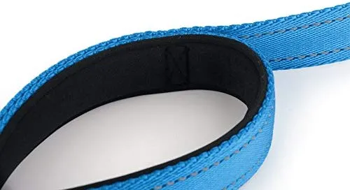 Primal Pet Gear - Correa para perro de 5.9 ft de largo, clip más fuerte, con dos asas acolchadas de tráfico, resistente, con asas dobles para entrenamiento de seguridad, correas para perros grandes o medianos