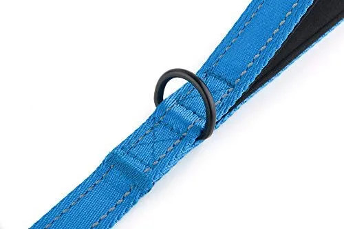Primal Pet Gear - Correa para perro de 5.9 ft de largo, clip más fuerte, con dos asas acolchadas de tráfico, resistente, con asas dobles para entrenamiento de seguridad, correas para perros grandes o medianos
