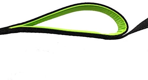 Primal Pet Gear - Correa para perro de 5.9 ft de largo, clip más fuerte, con dos asas acolchadas de tráfico, resistente, con asas dobles para entrenamiento de seguridad, correas para perros grandes o medianos