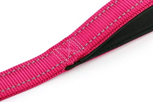 Primal Pet Gear - Correa para perro de 5.9 ft de largo, clip más fuerte, con dos asas acolchadas de tráfico, resistente, con asas dobles para entrenamiento de seguridad, correas para perros grandes o medianos