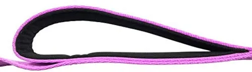 Primal Pet Gear - Correa para perro de 5.9 ft de largo, clip más fuerte, con dos asas acolchadas de tráfico, resistente, con asas dobles para entrenamiento de seguridad, correas para perros grandes o medianos