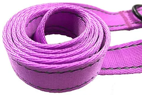 Primal Pet Gear - Correa para perro de 5.9 ft de largo, clip más fuerte, con dos asas acolchadas de tráfico, resistente, con asas dobles para entrenamiento de seguridad, correas para perros grandes o medianos