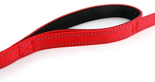 Primal Pet Gear - Correa para perro de 5.9 ft de largo, clip más fuerte, con dos asas acolchadas de tráfico, resistente, con asas dobles para entrenamiento de seguridad, correas para perros grandes o medianos