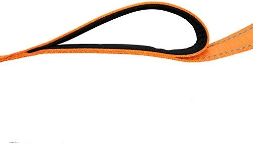 Primal Pet Gear - Correa para perro de 5.9 ft de largo, clip más fuerte, con dos asas acolchadas de tráfico, resistente, con asas dobles para entrenamiento de seguridad, correas para perros grandes o medianos