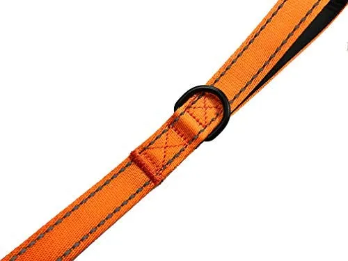 Primal Pet Gear - Correa para perro de 5.9 ft de largo, clip más fuerte, con dos asas acolchadas de tráfico, resistente, con asas dobles para entrenamiento de seguridad, correas para perros grandes o medianos