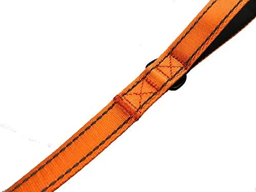 Primal Pet Gear - Correa para perro de 5.9 ft de largo, clip más fuerte, con dos asas acolchadas de tráfico, resistente, con asas dobles para entrenamiento de seguridad, correas para perros grandes o medianos