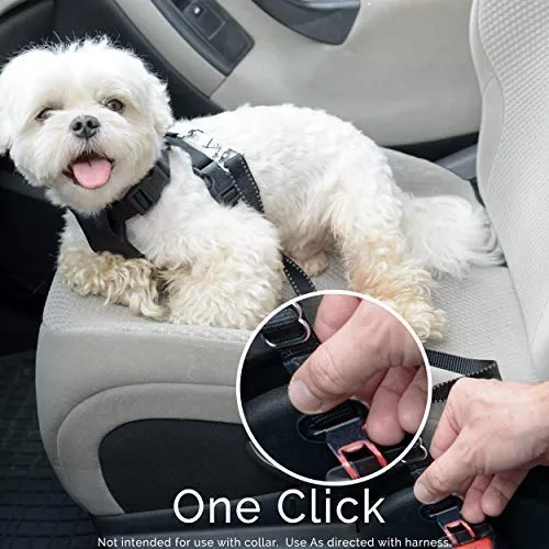 Asiento de coche Cinturón Correa del perro – 2 unidades – Cinturón de Seguridad Ajustable Pet plomo de la – Heavy Duty Black Nylon – Ajuste Universal – por Duke & Dixie