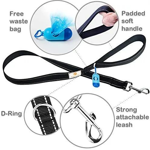 BungeeX2 acoplador de doble correa para perro Snagle Paw sin enredos, giro de 360°, correa doble para caminar y entrenamiento, cómodo amortiguador, correa elástica reflectante para pasear 2 perros con facilidad