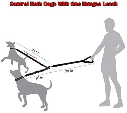 BungeeX2 acoplador de doble correa para perro Snagle Paw sin enredos, giro de 360°, correa doble para caminar y entrenamiento, cómodo amortiguador, correa elástica reflectante para pasear 2 perros con facilidad