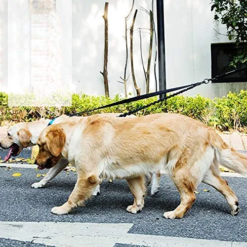 BungeeX2 acoplador de doble correa para perro Snagle Paw sin enredos, giro de 360°, correa doble para caminar y entrenamiento, cómodo amortiguador, correa elástica reflectante para pasear 2 perros con facilidad