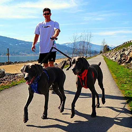 BungeeX2 acoplador de doble correa para perro Snagle Paw sin enredos, giro de 360°, correa doble para caminar y entrenamiento, cómodo amortiguador, correa elástica reflectante para pasear 2 perros con facilidad