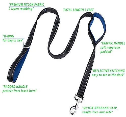 BungeeX2 acoplador de doble correa para perro Snagle Paw sin enredos, giro de 360°, correa doble para caminar y entrenamiento, cómodo amortiguador, correa elástica reflectante para pasear 2 perros con facilidad