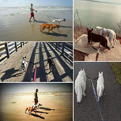 BungeeX2 acoplador de doble correa para perro Snagle Paw sin enredos, giro de 360°, correa doble para caminar y entrenamiento, cómodo amortiguador, correa elástica reflectante para pasear 2 perros con facilidad