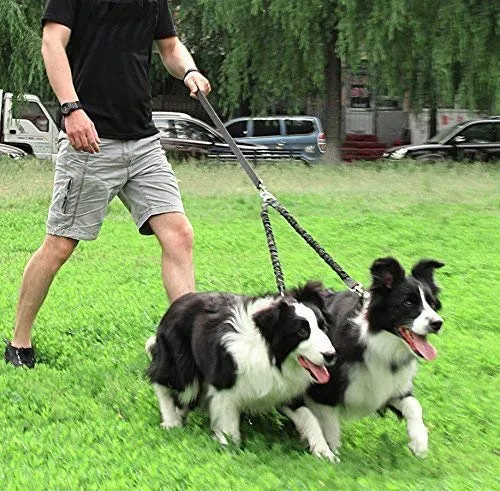 BungeeX2 acoplador de doble correa para perro Snagle Paw sin enredos, giro de 360°, correa doble para caminar y entrenamiento, cómodo amortiguador, correa elástica reflectante para pasear 2 perros con facilidad