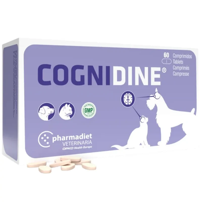 Cognidine 60 uds (Sistema Nervioso)
