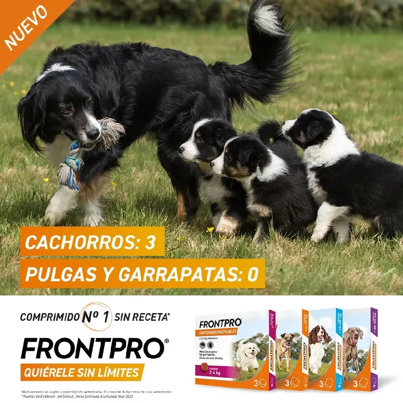 Frontpro Comprimidos Masticables Antiparasitarios para Perros 3 uds.