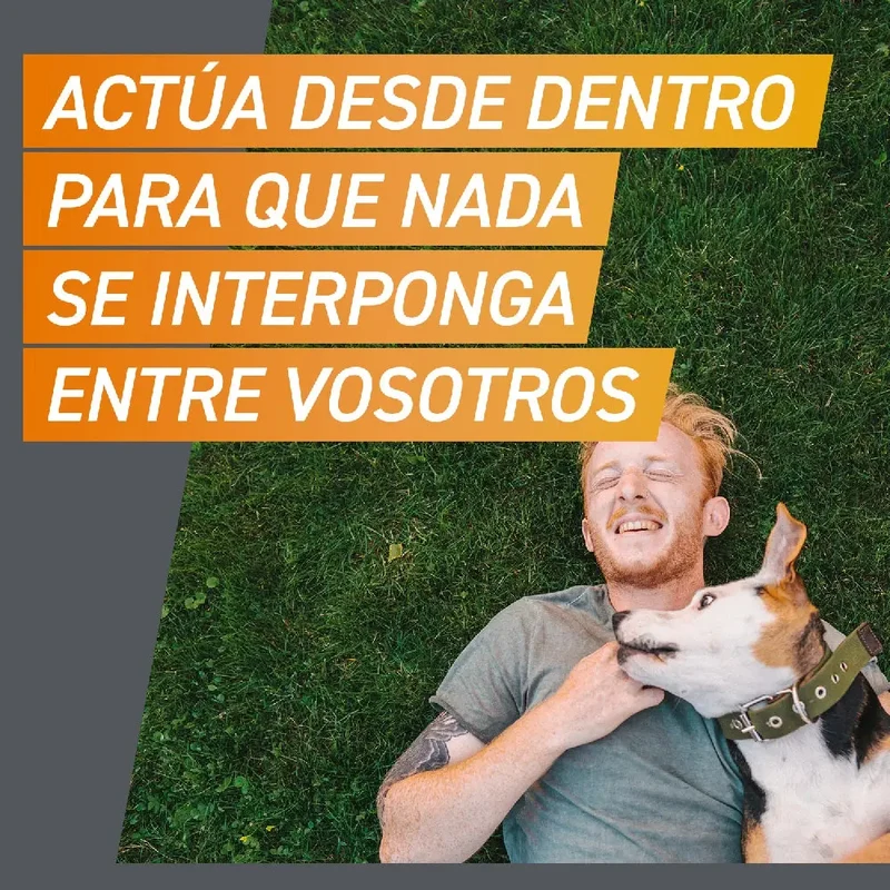 Frontpro Comprimidos Masticables Antiparasitarios para Perros 3 uds.