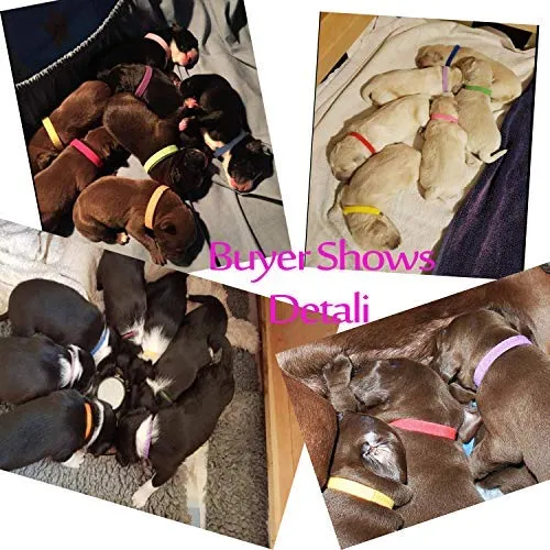 whaline whelping cachorro mascota perro gato Collars suave ajustable 15 colores Bandas de ID Collars