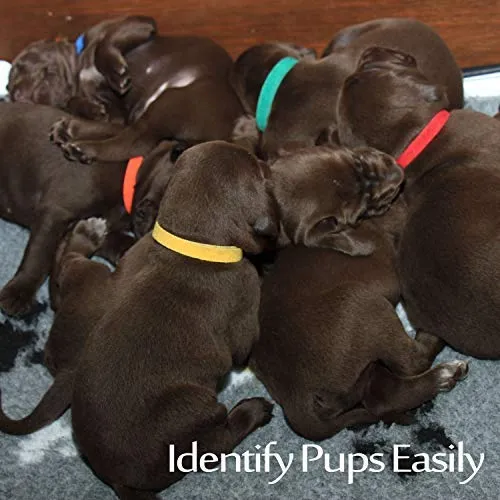whaline whelping cachorro mascota perro gato Collars suave ajustable 15 colores Bandas de ID Collars