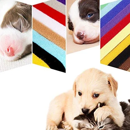 whaline whelping cachorro mascota perro gato Collars suave ajustable 15 colores Bandas de ID Collars