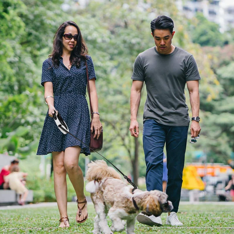 QiMH Correa retráctil para perro, 360 ° sin enredos, resistente y reflectante de 16.0 ft con asa antideslizante para perros de tamaño mediano y grande de hasta 110 libras, freno de una mano, pausa y bloqueo