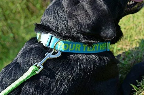 Collar de perro personalizado premium con cierre de metal – disponible en 20 colores + varios tamaños