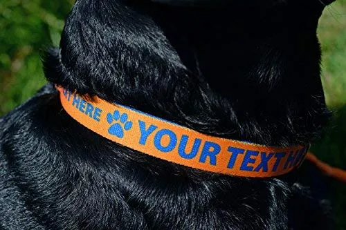 Collar de perro personalizado premium con cierre de metal – disponible en 20 colores + varios tamaños