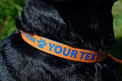 Collar de perro personalizado premium con cierre de metal – disponible en 20 colores + varios tamaños