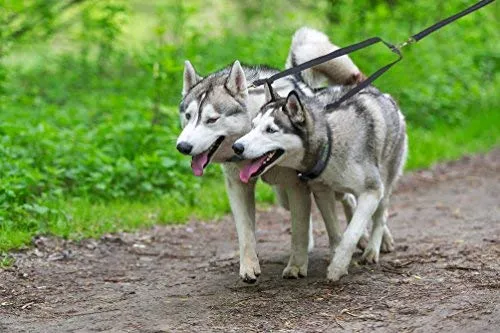 Mighty Paw - Correa doble para perro, longitud ajustable de dos perros, calidad prémium sin enredos, para 2 perros