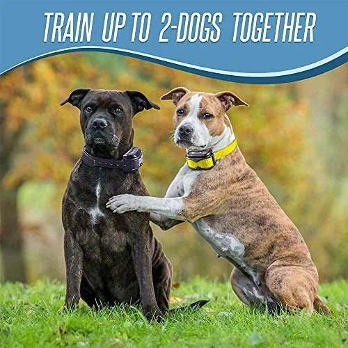 Pet Union PT0Z1 collar de entrenamiento para perros, totalmente impermeable, rango de 1200 pies