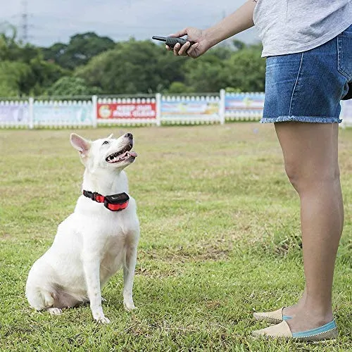 Pet Union PT0Z1 collar de entrenamiento para perros, totalmente impermeable, rango de 1200 pies