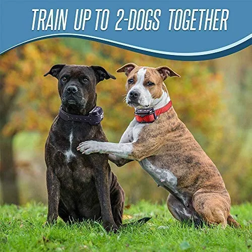 Pet Union PT0Z1 collar de entrenamiento para perros, totalmente impermeable, rango de 1200 pies