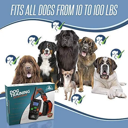 Pet Union PT0Z1 collar de entrenamiento para perros, totalmente impermeable, rango de 1200 pies