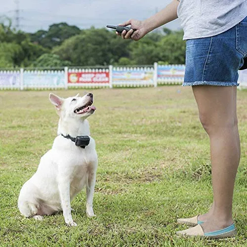 Pet Union PT0Z1 collar de entrenamiento para perros, totalmente impermeable, rango de 1200 pies