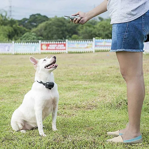 Pet Union PT0Z1 collar de entrenamiento para perros, totalmente impermeable, rango de 1200 pies