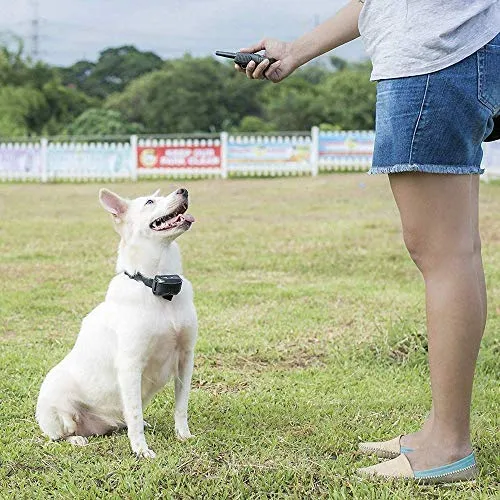 Pet Union PT0Z1 collar de entrenamiento para perros, totalmente impermeable, rango de 1200 pies