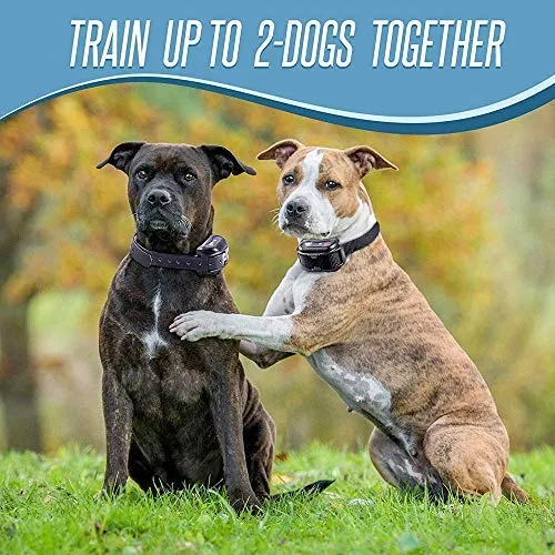 Pet Union PT0Z1 collar de entrenamiento para perros, totalmente impermeable, rango de 1200 pies