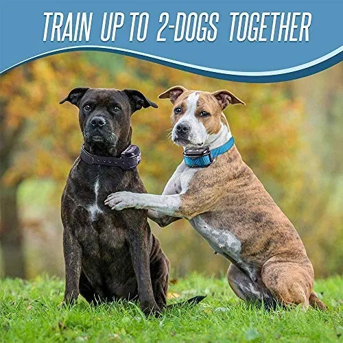 Pet Union PT0Z1 collar de entrenamiento para perros, totalmente impermeable, rango de 1200 pies