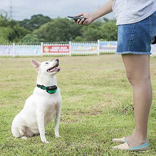 Pet Union PT0Z1 collar de entrenamiento para perros, totalmente impermeable, rango de 1200 pies
