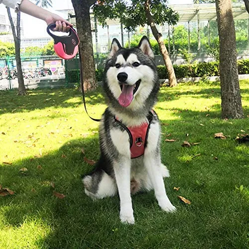BABYLTRL Correa retráctil para perro, correa para caminar para perro de 360 ° sin enredos para uso pesado de hasta 110 libras, cinta de nailon reflectante fuerte de 16 pies con mango antideslizante, freno de una mano, pausa, bloqueo